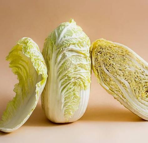 japanese napa cabbage recipe
