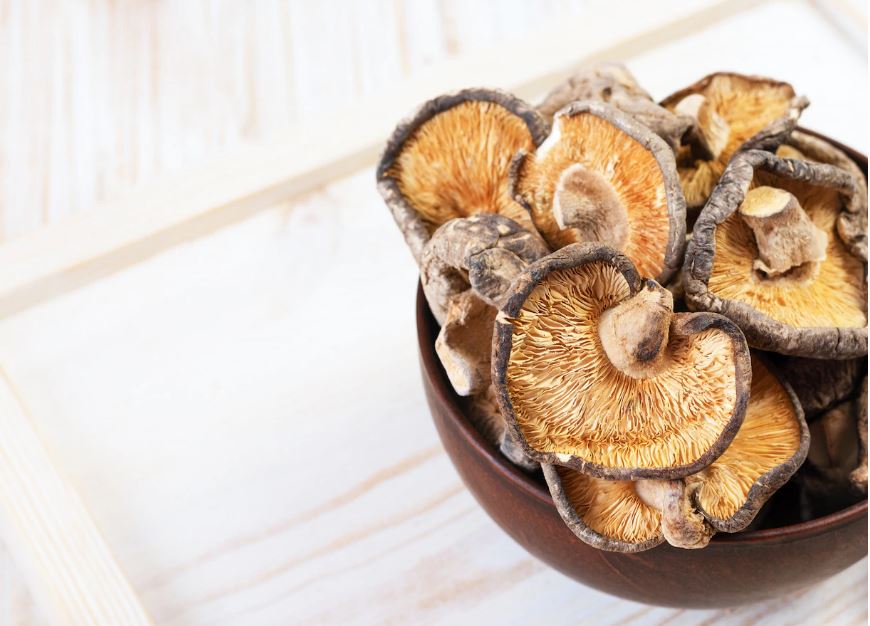 shiitake mushroom recipes japanese